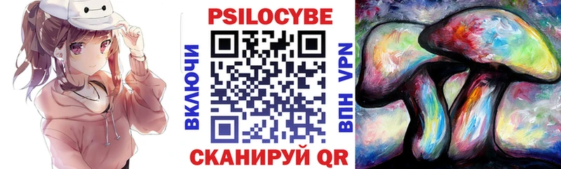 Псилоцибиновые грибы мицелий  Новосиль 
